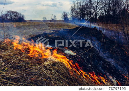 Let's say stop burning dry grass, it is dangerous 78797193