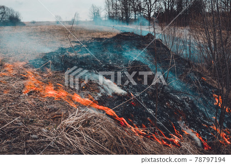 Let's say stop burning dry grass, it is dangerous 78797194