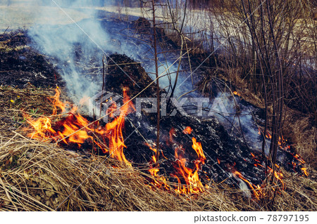 Let's say stop burning dry grass, it is dangerous 78797195
