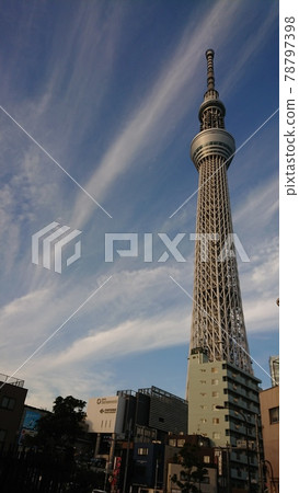 東京天空樹 78797398