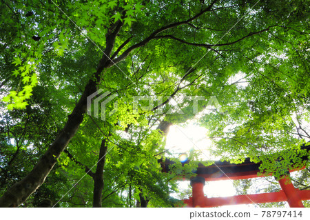 宇佐神宮的風景 78797414