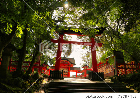 Scenery at Usa Jingu Scenery at Usa Jingu 78797415