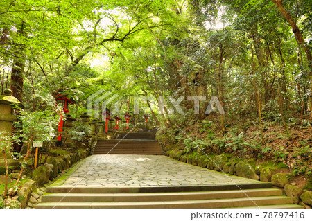 Scenery at Usa Jingu 78797416