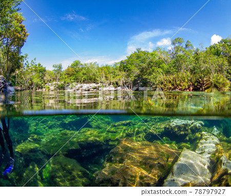 Semi-water surface photo of Cenote (Playa del Carmen, Mexico) 78797927