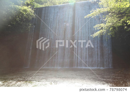 Okuma River Okinawa River River Nature Negative Ion Okuma Okuma River Okinawa River River Nature Negative Ion Okuma 78798074