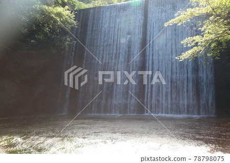 Okuma River Okinawa River River Nature Negative Ion Okuma Okuma River Okinawa River River Nature Negative Ion Okuma 78798075