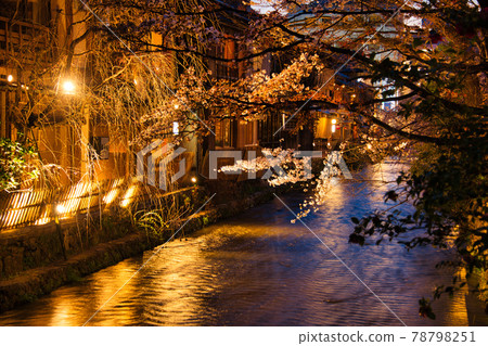 Gion Shirakawa Night Cherry Blossom 2021 Spring Gion Shirakawa Night Cherry Blossom 2021 Spring 78798251