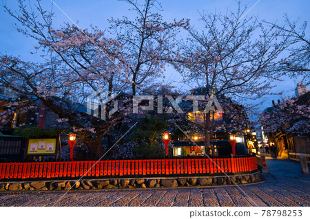 只園白川夜櫻 2021 春季 只園白川夜櫻 2021 春季 78798253