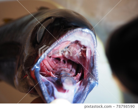 In the mouth of Kijime In the mouth of Kijime 78798590
