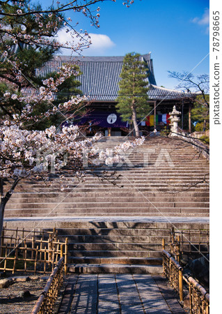Konkai Komyoji Temple and Sakura 2021 Spring 78798665