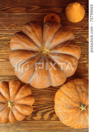 A bunch of pumpkins. A bunch of pumpkins. 78798668