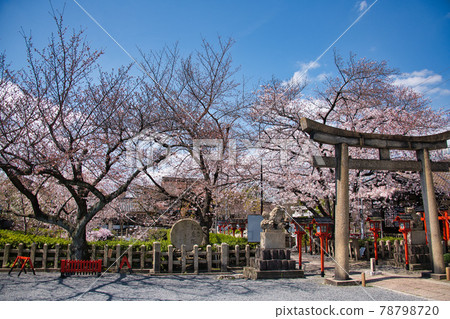 2021 年春季,京都六尊神社 2021 年春季,京都六尊神社 78798720