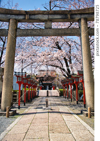 Spring 2021 at Rokusonno Shrine in Kyoto 78798725