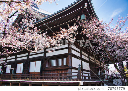 Spring 2021 at Myokenji Temple in Kyoto Spring 2021 at Myokenji Temple in Kyoto 78798779