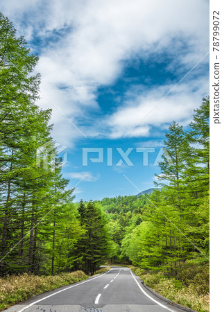 《長野縣》 奇野市 風景 Marchen Road 《長野縣》 奇野市 風景 Marchen Road 78799072