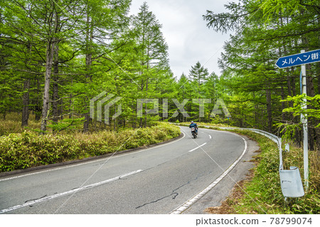 《長野縣》 奇野市 風景 Marchen Road 《長野縣》 奇野市 風景 Marchen Road 78799074