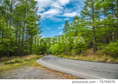 《長野縣》 奇野市 風景 Marchen Road 《長野縣》 奇野市 風景 Marchen Road 78799076