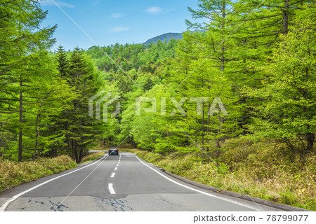 《長野縣》 奇野市 風景 Marchen Road 78799077