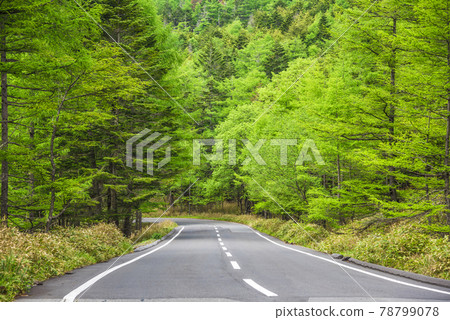 《長野縣》 奇野市 風景 Marchen Road 《長野縣》 奇野市 風景 Marchen Road 78799078