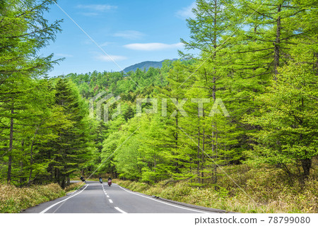 《長野縣》 奇野市 風景 Marchen Road 《長野縣》 奇野市 風景 Marchen Road 78799080