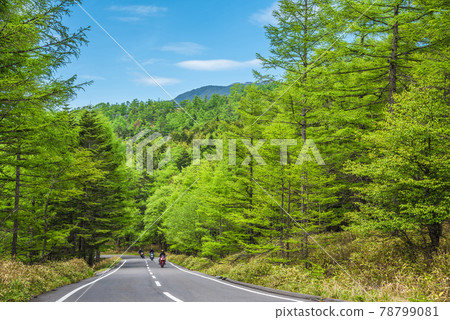 《Nagano Prefecture》 Chino City Scenery Marchen Road 《Nagano Prefecture》 Chino City Scenery Marchen Road 78799081