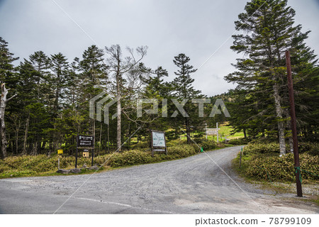 《長野縣》佐久保町風景北八岳自然休養林 《長野縣》佐久保町風景北八岳自然休養林 78799109