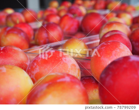 Plums sold for unmanned sales 78799209