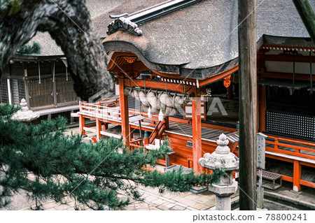 [Film style] Vermilion shrine (Hinomisaki Shrine, Izumo City, Shimane Prefecture) 78800241