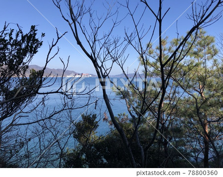 《從兔島（奧野島）的樹木中看到的大海、藍天和山脈的風景》（廣島縣竹原市） 78800360