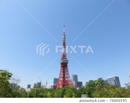 Tokyo Tower seen from Shiba Park 78800595