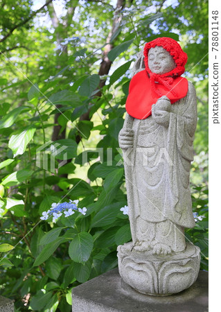 Sukumadani Kannon Mandala Hydrangea Garden Sukumadani Kannon Mandala Hydrangea Garden 78801148