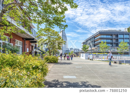 Yokohama Minatomirai Cityscape Marine & Walk 和 Yokohama Hammerhead 78801250