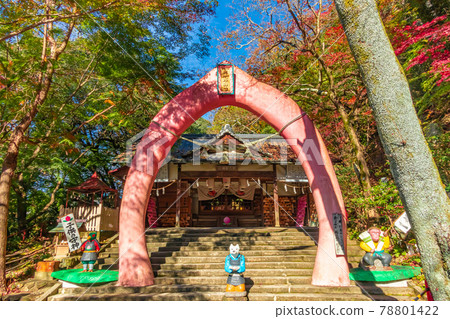 秋天的桃太郎神社，孩子們的守護神<愛知縣犬山市> 78801422