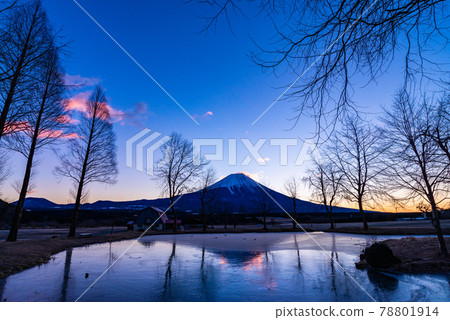 (Shizuoka Prefecture) Fujinomiya City Fumotoppara Mt. Fuji in the midwinter (Shizuoka Prefecture) Fujinomiya City Fumotoppara Mt. Fuji in the midwinter 78801914