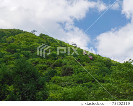 Mt. Haruna and Ropeway Mt. Haruna and Ropeway 78802319