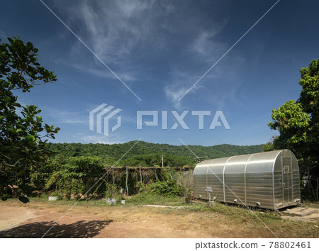 modern spice drying greenhouse room in Kampot pepper farm Cambodia modern spice drying greenhouse room in Kampot pepper farm Cambodia 78802461