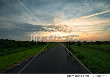 Quiet cycling road Quiet cycling road 78802952