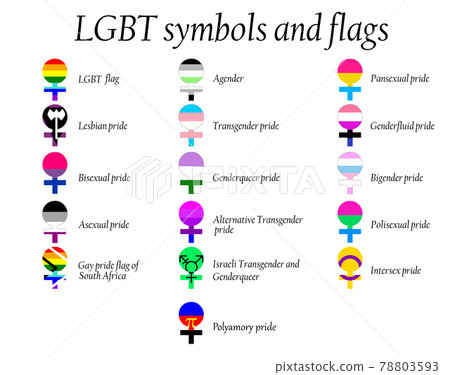 LGBT Official Pride Flag Collection, Lesbian, Gay, Bisexual and Transgender . Collection of Signs for People of Different Sexual Orientations. 78803593
