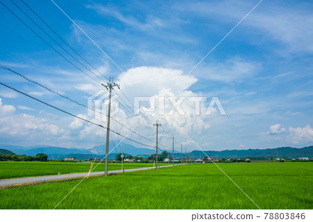 Countryside summer clouds 78803846