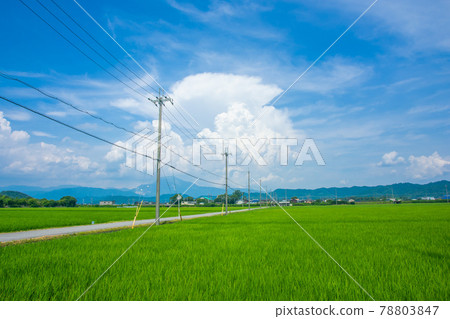 Countryside summer clouds 78803847