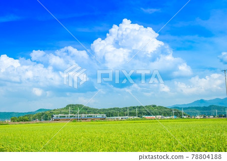 Country landscape Country landscape 78804188
