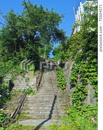 Foreigner Slope (Otaru, Hokkaido) 78804871