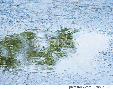 Rainfall on asphalt puddle ・ Rain crest 78804877