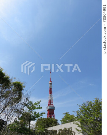 從芝公園看到的東京塔 從芝公園看到的東京塔 78804991
