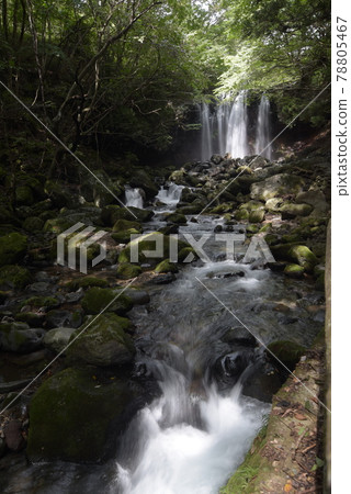櫪木縣那須鹽原市乙女瀧 櫪木縣那須鹽原市乙女瀧 78805467