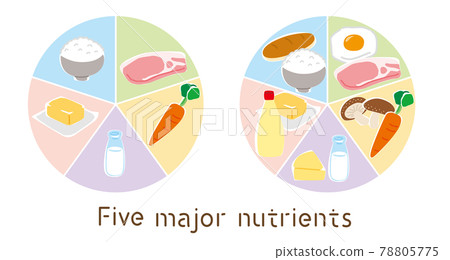 Illustration of a simple five major nutrient table Illustration of a simple five major nutrient table 78805775