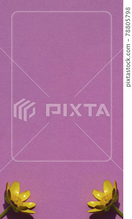 A floral arrangement of two yellow flowers on a pink background and a glass text frame. Flat layout top view. Ready-made template. 78805798