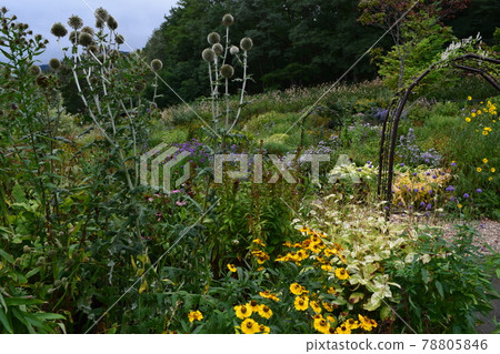  English garden 78805846