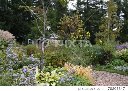  English garden 78805847