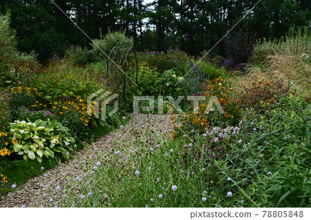  English garden 78805848